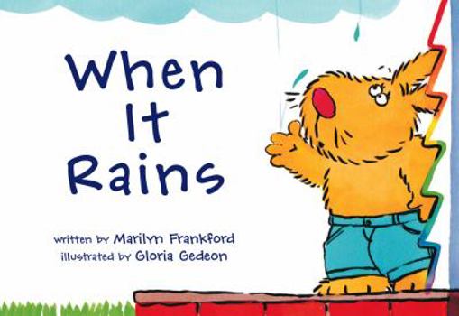 Unknown Binding When it rains Book