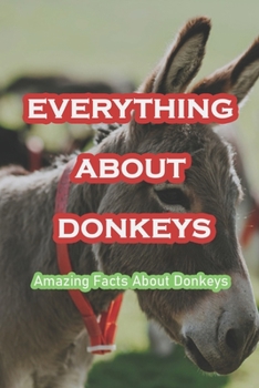 Everything About Donkeys: Amazing Facts About Donkeys