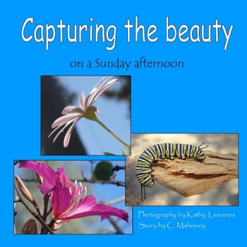 Capturing the beauty: on a Sunday afternoon