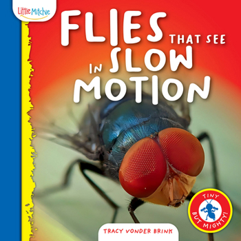 Hardcover Flies That See in Slow Motion Book