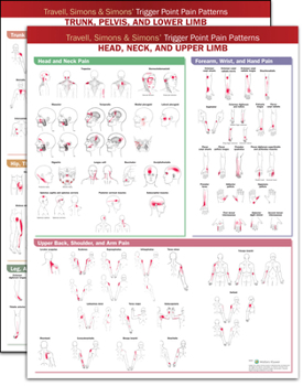 Product Bundle Travell, Simons & Simons' Trigger Point Pain Patterns Wall Charts Package Book