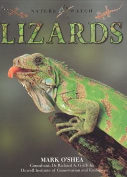 Paperback Lizards Book