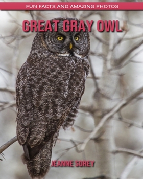 Great Gray Owl: Fun Facts and Amazing Photos