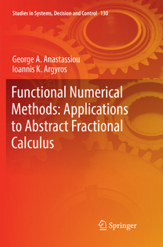 Paperback Functional Numerical Methods: Applications to Abstract Fractional Calculus Book