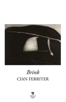 Paperback Brink Book
