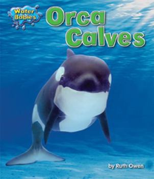 Library Binding Orca Calves Book