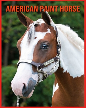 American Paint Horse: Children Book of Fun Facts & Amazing Photos