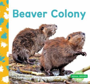 Library Binding Beaver Colony Book