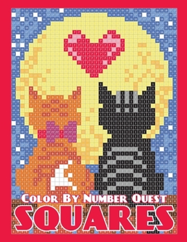 Paperback Color By Number Quest: Squares Book