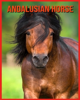 Andalusian Horse: Amazing Facts about Andalusian Horse