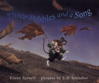 Hardcover Three Pebbles and a Song Book