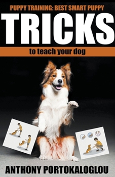 Paperback Dog Tricks: Best Smart Dog Tricks to Teach Your Dog in Record Time Book