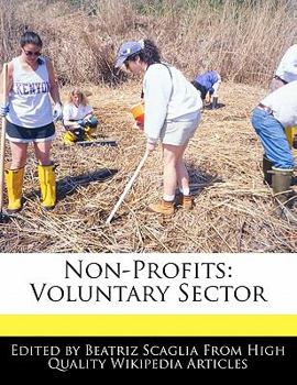 Paperback Non-Profits: Voluntary Sector Book
