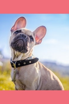 French Bulldog Planner: 2020 diary: Increase productivity, improve time management, reach your goals: Modern artistic photography style coral cover