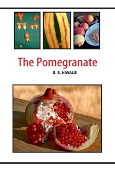 Paperback The Pomegranate Book