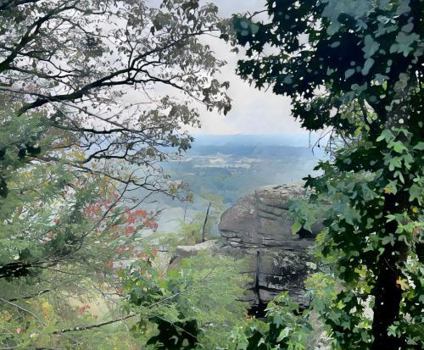 A BIG Canvas For - Whatever You Want - 11x8 - #2 (Chattanooga TN) : Plain Pages Inside