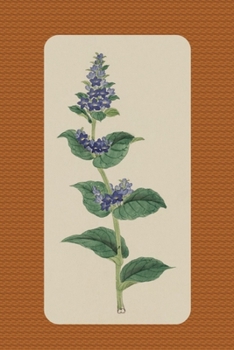 Botanic Herbal: Empty Sketch Pages Journal / Notebook - 6x9 inches (DIN 5), 100 Pages