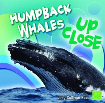 Hardcover Humpback Whales Up Close Book