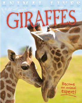 Giraffes (QED Animal Lives)