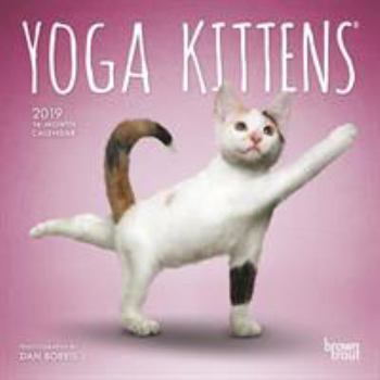 Calendar Yoga Kittens 2019 Calendar Book