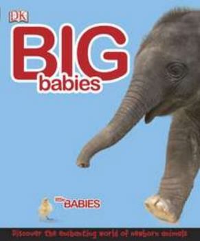 Hardcover Big Babies, Little Babies Book