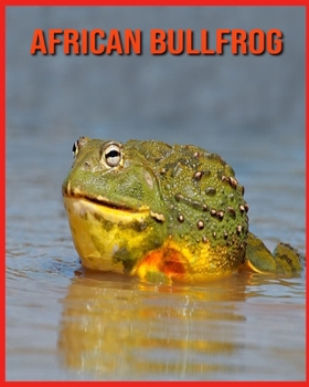 African Bullfrog: Incredible Pictures and Fun Facts about African Bullfrog