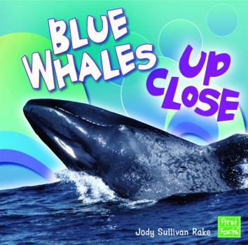 Hardcover Blue Whales Up Close Book