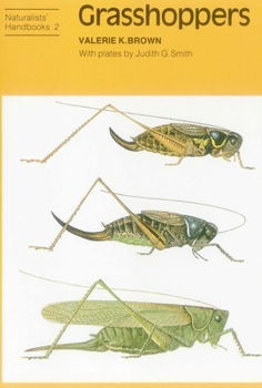 Paperback Grasshoppers Book