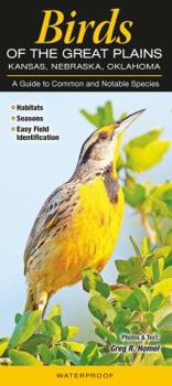 Pamphlet Birds of the Great Plains KS, Ne, Ok Book