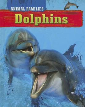 Library Binding Dolphins Book