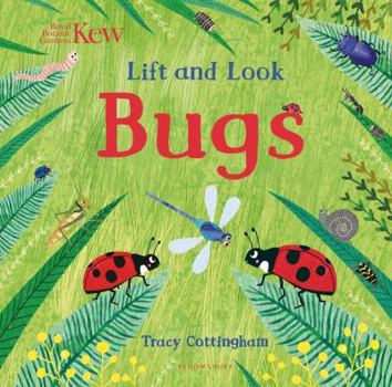 Paperback Kew: Lift and Look Bugs Book