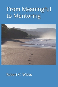 Paperback From Meaningful to Mentoring Book