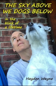 Paperback The Sky Above We Dogs Below-In the Blink of a Lifetime Book