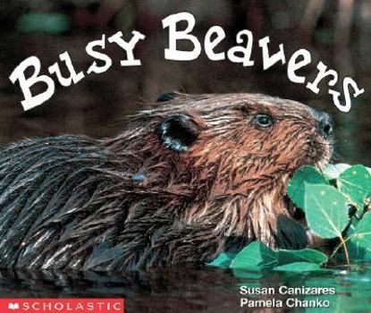 Paperback Busy Beavers (Emergent Readers) Book
