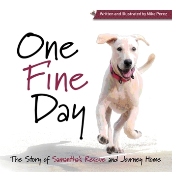 Paperback One Fine Day Book