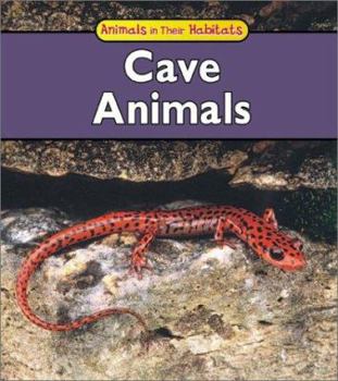 Paperback Cave Animals Book