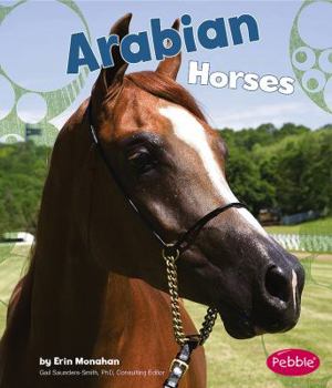 Hardcover Arabian Horses Book