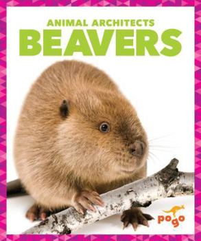 Library Binding Beavers Book