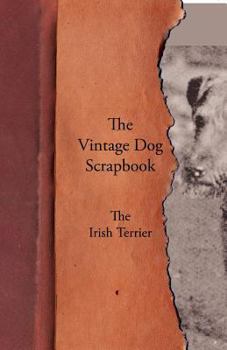 Paperback The Vintage Dog Scrapbook - The Irish Terrier Book