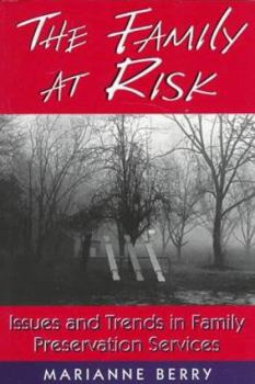 The Family at Risk: Issues and Trends in Family Preservation Services (Social Problems and Social Issues) - Book  of the Social Problems and Social Issues
