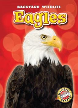 Eagles - Book  of the Backyard Wildlife