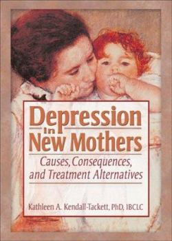 Paperback Depression in New Mothers: Causes, Consequences, and Treatment Alternatives Book