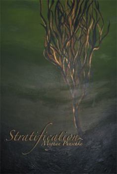 Paperback Stratification Book