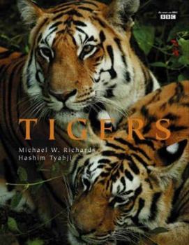 Hardcover Tigers. Michael W. Richards, Hashim Tyabji Book