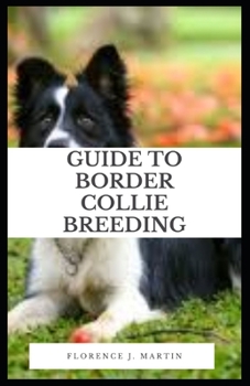 Paperback Guide to Border Collie Breeding: Border Collie was selectively bred for its skill in herding sheep, which includes its ability to use its eye to intim Book