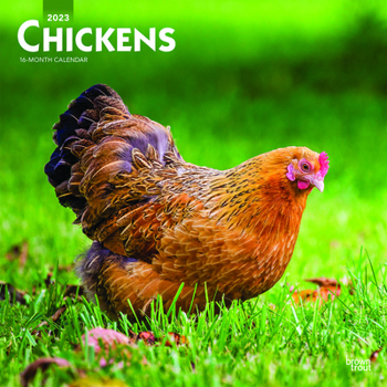 Calendar Chickens 2023 Square Book
