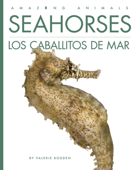 Library Binding Seahorses / Los Caballitos de Mar [Spanish] Book