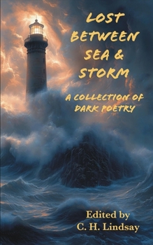 Paperback Lost Between Sea & Storm: A Collection of Dark Poetry Book