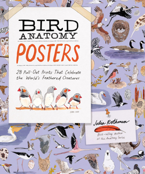 Bird Anatomy Posters: 28 Pull-Out Prints That Celebrate the World's Feathered Creatures