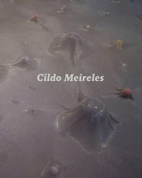 Paperback Cildo Meireles /anglais Book